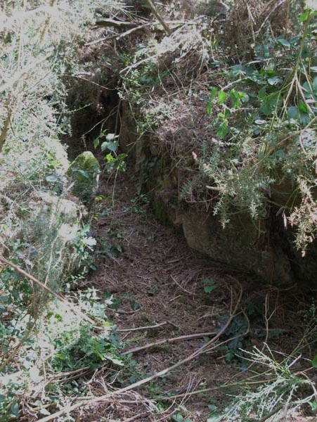 Dolmens de Kervilor-Man&eacute; Bras
